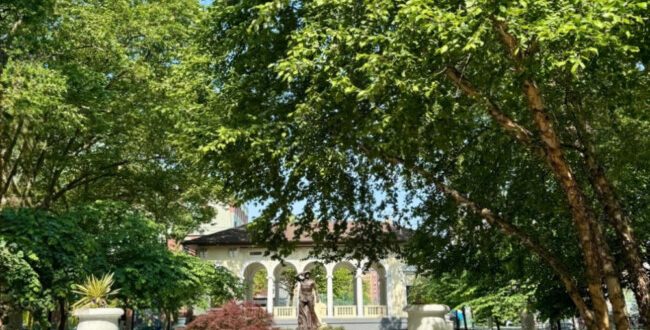 34 Hoboken and Jersey City News Stories This Week | June 15, 2025