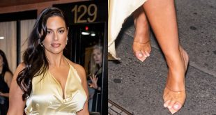 Celebs Wearing Gianvito Rossi Demi Lovato, Lady Gaga and Others