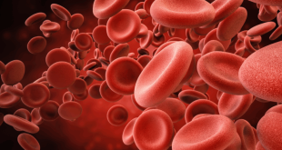 Is death reversible? Scientists uncover a third state of life.