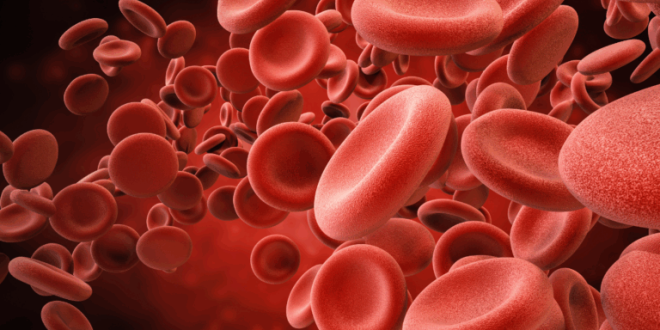 Is death reversible? Scientists uncover a third state of life.