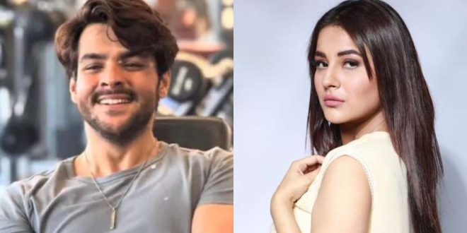 Ashish Chanchlani to Shehnaaz Gill, Celebs Who Stunned the Internet With Their Fitness Transformations