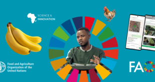 Homegrown innovation leads Africa’s agrifood transformation