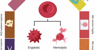 Infectious Disease News Highlights July 19-26