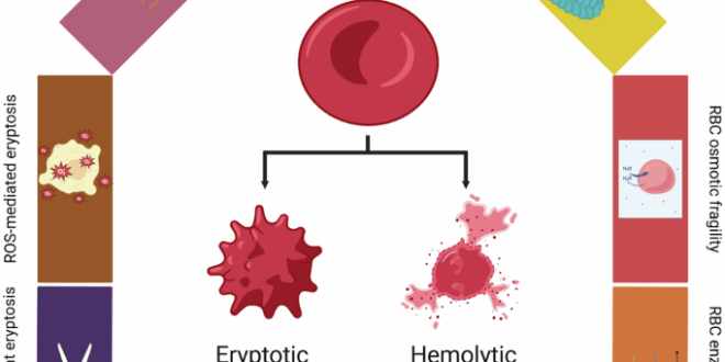 Infectious Disease News Highlights July 19-26