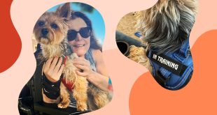My assistance dog helps me be part of life