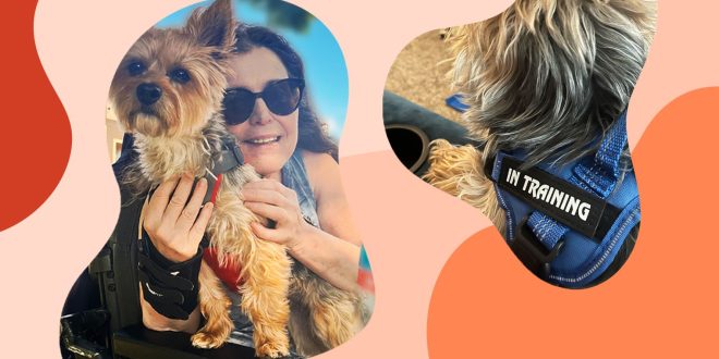 My assistance dog helps me be part of life