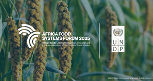 Young African agripreneurs present AI solutions for agrifood systems transformation.