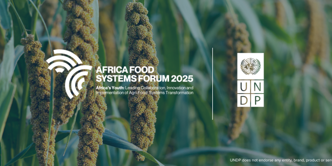 Young African agripreneurs present AI solutions for agrifood systems transformation.
