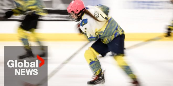 Alberta's New Gender Identity and Amateur Sports Rules Now in Effect