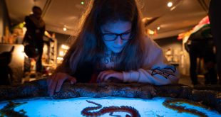 Oxford video game exhibition 'explores storytelling'